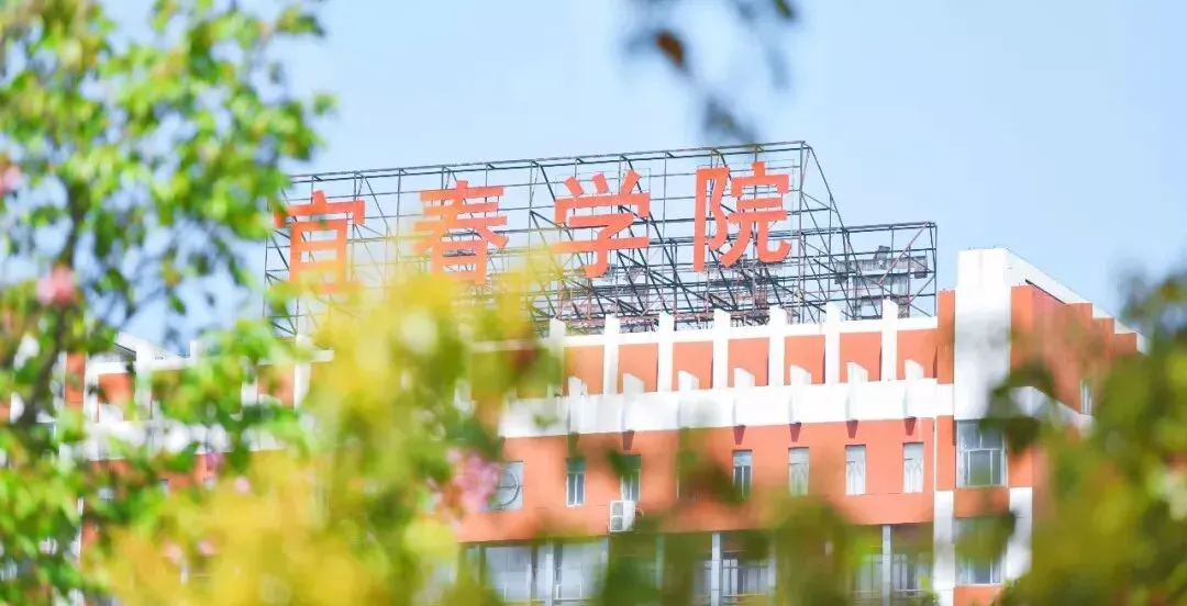 业余篮球爱好者如何借助智能反馈提高比赛表现_2